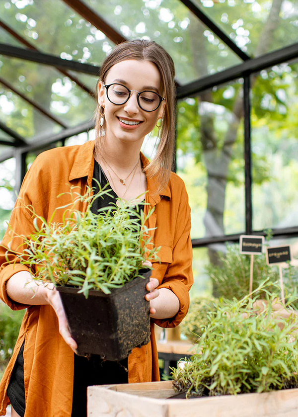 native plants reviews