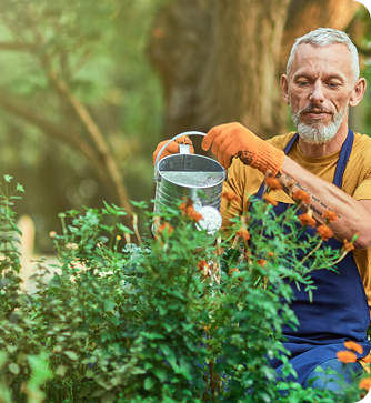 The Challenge of Transitioning Native Plants into a Garden—And the Solution That Works