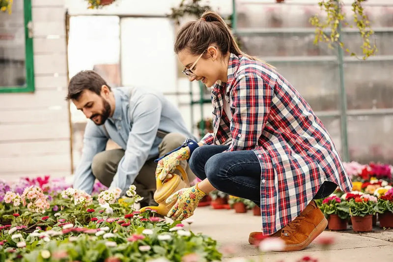 Bringing Nature Closer to Your Doorstep